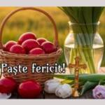 Untitled project 4 - Primaria Topoloveni urează argeșenilor: „Sărbători luminate și binecuvântate!