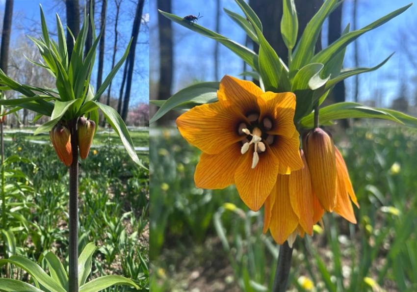 Sursă foto: FB Salpitflor Green S.A.
