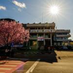 Ședință extraordinară la Mioveni! 11 Sursă foto: FB Primăria Orasului Mioveni