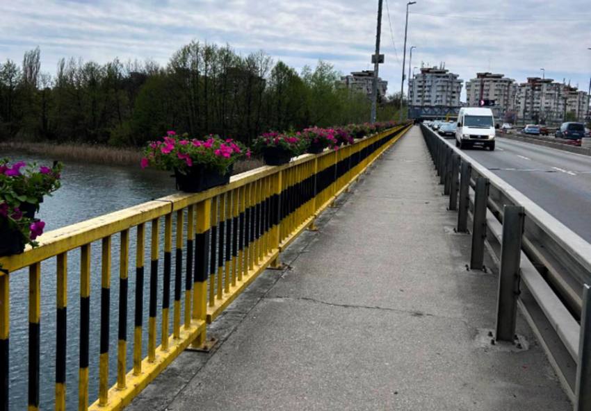 Sursă foto: Societatea Salpitflor Green S.A.