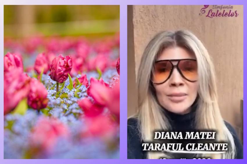 Untitled project (20)