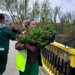 Sursă foto: Societatea Salpitflor Green S.A.