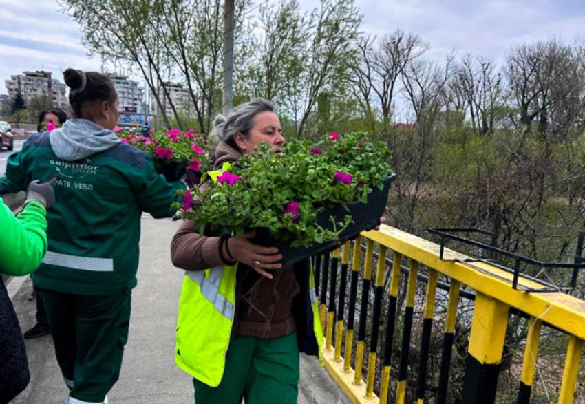 Sursă foto: Societatea Salpitflor Green S.A.