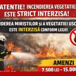 Primăria Ștefănești amintește cetățenilor: Incendierea vegetației este interzisă! 12 incendiu vegetatie Ștefanești