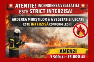 incendiu vegetatie Ștefanești