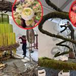 Sursă foto: Societatea Salpitflor Green S.A.