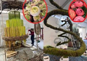 Sursă foto: Societatea Salpitflor Green S.A.