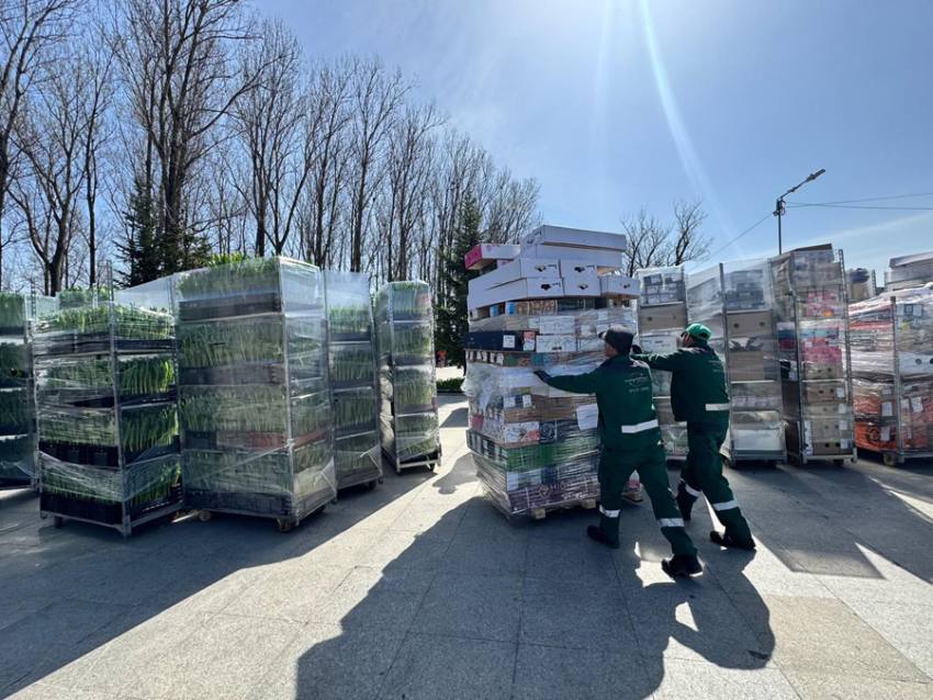 Foto descriptiv. Sursă foto: Sursă video: FB Cristian Gentea.