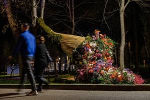 Sursă foto: Societatea Salpitflor Green S.A. 