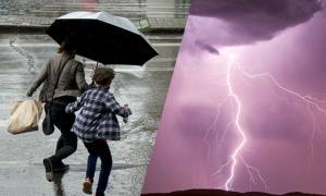 cats - Cod galben de vreme rea în Argeș. Meteorologii anunță ploi torențiale, vânt și descărcări electrice