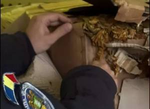 cats - Captură uriașă: Peste o tonă de tutun vrac, descoperită de polițiști într-o dubă