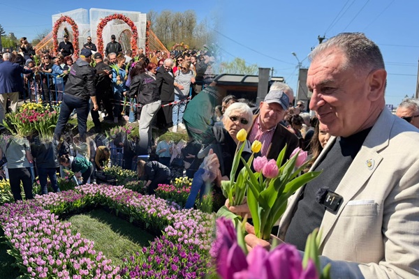 1e785614 1880 419b 8e70 feae75d028f8 - Tradiția continuă la Pitești! Zeci de mii de bulbi de lalele oferiți vizitatorilor Simfoniei