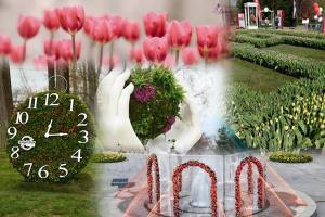 72b88cc7 ebc1 4581 a498 f3a73db905f6 - Simfonia Lalelelor continuă. Programul zilei de astăzi