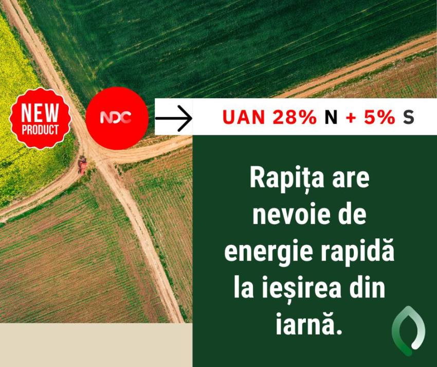 rapita 1 - NDC – Neobosiți. Dezvoltăm. Continuu.