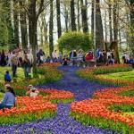 Sursă foto: FB Primăria Municipiului Pitești