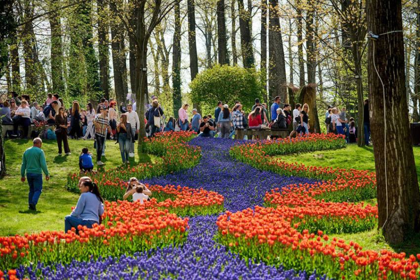Sursă foto: FB Primăria Municipiului Pitești