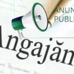 angajare primăria Căteasca