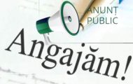 angajare primăria Căteasca