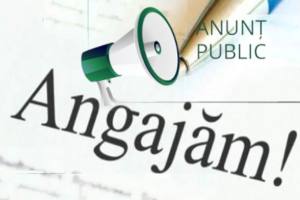 angajare primăria Căteasca