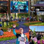 Sursă foto: FB Primăria Municipiului Pitești