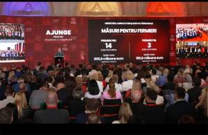 Sursă foto: screenshot FB Sorin Grindeanu