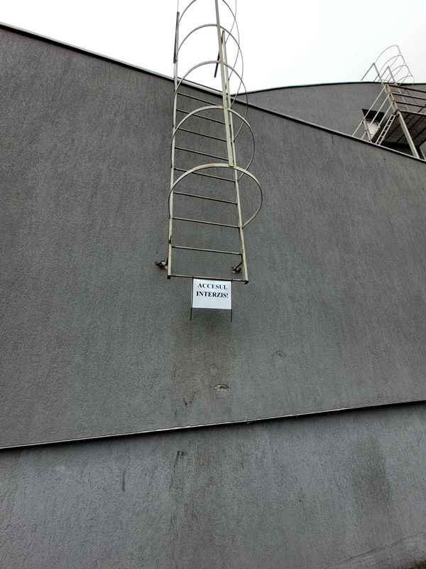 677756126 1265229089146213 5822244934749424470 n - „Aventură” la înălțime! Patru tineri au sfidat afișele și s-au urcat pe acoperișul Centrului Cultural Mioveni