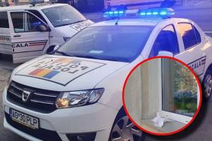 Poliția Locală Pitești_ șervețele aruncate bloc