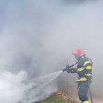incendiu vegetație argeș