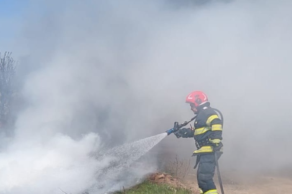 incendiu vegetație argeș