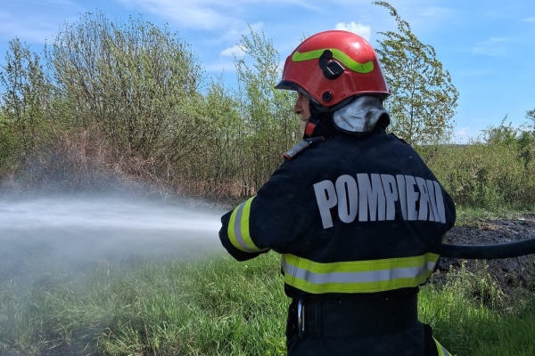 incendiu vegetație argeș