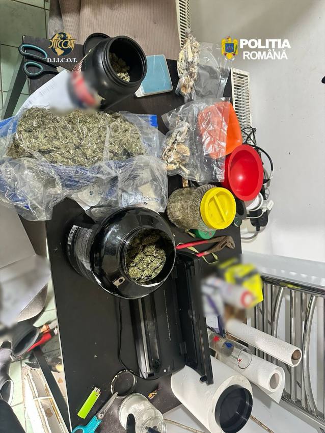 WhatsApp Image 2026 04 22 at 12.07.50 1 - Culturi de canabis la Topoloveni! Percheziții la o rețea care vindea droguri elevilor