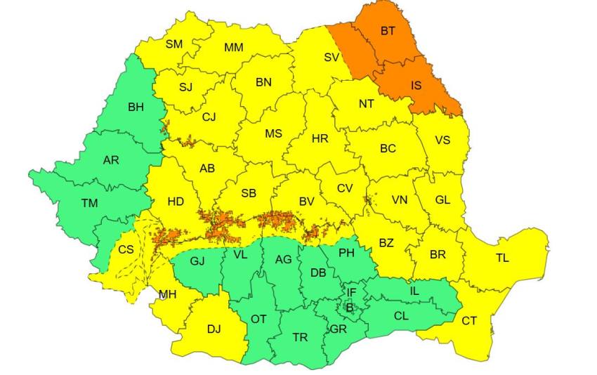 Cod galben și portocaliu