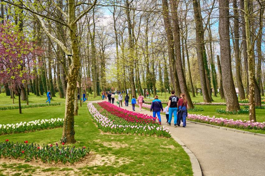 677210653 1408305397990470 2467587515405179033 n - Piteștenii sunt așteptați și azi la Simfonia Lalelelor 2026!