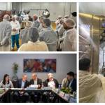 Pitești model piețe