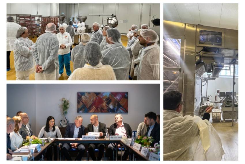 Pitești model piețe