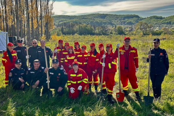 ISU Argeș o padure de la zero