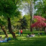 Rusalii 2026 zile libere oameni parc