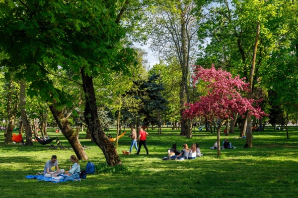 Rusalii 2026 zile libere oameni parc