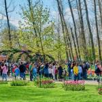 Simfonia Lalelelor 2026