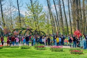 Simfonia Lalelelor 2026