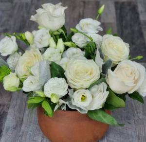 Florii