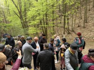 Izvorul Tămăduirii Nicolae Velcea Ștefănești