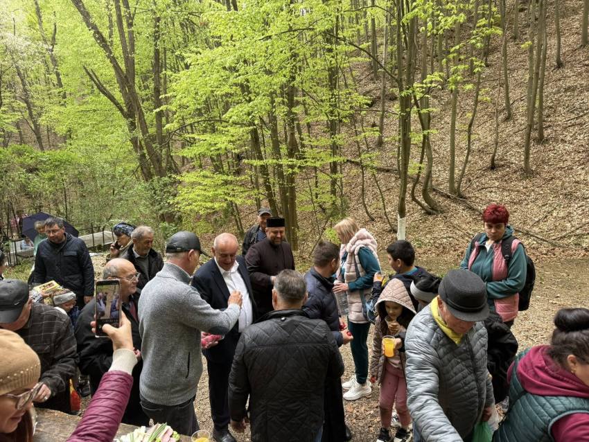 Izvorul Tămăduirii Nicolae Velcea Ștefănești