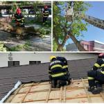 page - Vântul puternic a făcut prăpăd în mai multe județe din țară. Un bărbat a murit