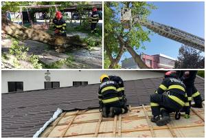 page - Vântul puternic a făcut prăpăd în mai multe județe din țară. Un bărbat a murit