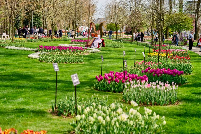 679085123 1408305177990492 8492808150646363798 n - Final spectaculos al Simfoniei Lalelelor 2026