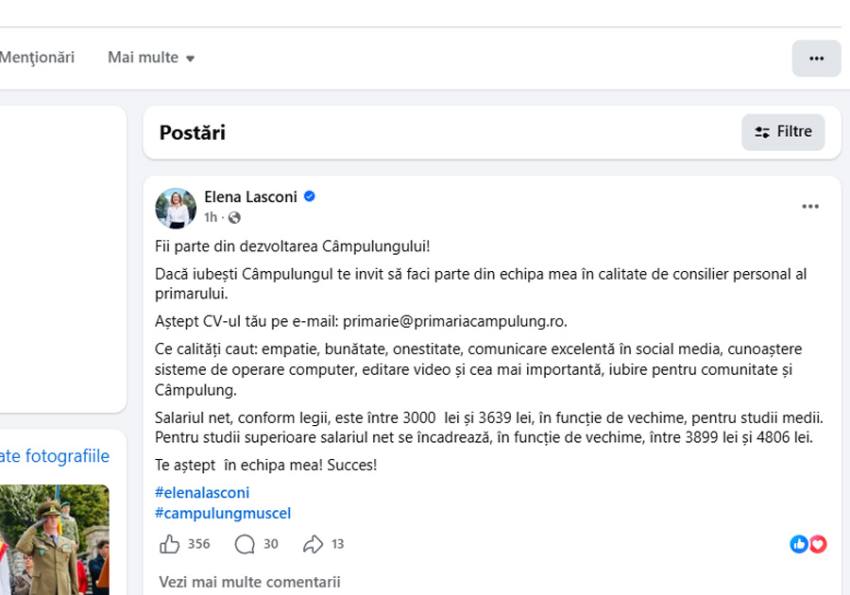 Sursă foto: Facebook Elena Lasconi