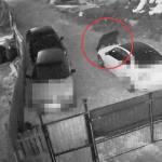 b2153e78 af91 4cf1 b97a 43e9efd96b86 - (VIDEO) Alertă în Bradu! Urs surprins lângă locuințele oamenilor