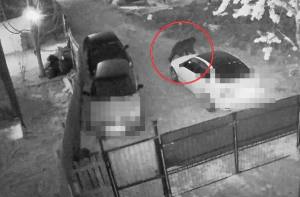 b2153e78 af91 4cf1 b97a 43e9efd96b86 - (VIDEO) Alertă în Bradu! Urs surprins lângă locuințele oamenilor