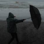 cats 1 - Vești proaste de la meteorologi: ploi, frig și vânt puternic în următoarele zile